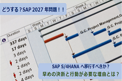 SAP S/4HANAへの移行か乗り換えか｜SAP 2027年問題の最適解を検証する