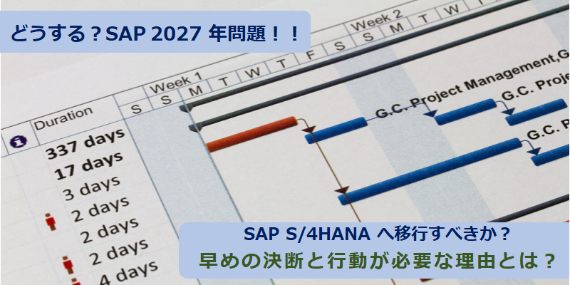SAP S/4HANAへの移行か乗り換えか|SAP 2027年問題の最適解を検証する