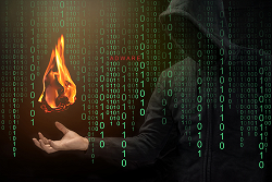 Webアプリとは|脆弱性が生じやすい理由とは